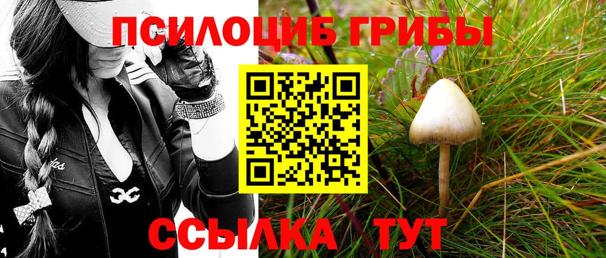 Елабуга  как найти наркотики  Вход с VPN  Псилоцибиновые грибы MAGIC MUSHROOMS 